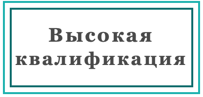 icon - /uploads/s/p/x/q/pxqad4vh7m7q/img/full_qL9efEvP.png